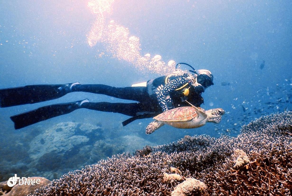 Vila Samsara Penida Nusa Penida Exteriér fotografie