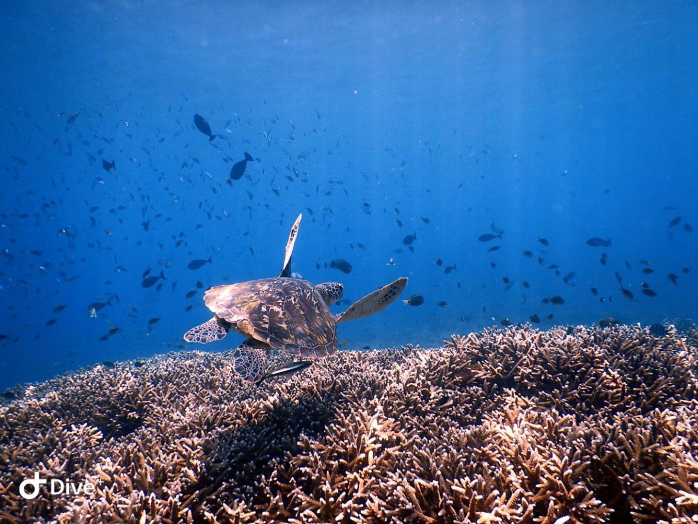 Vila Samsara Penida Nusa Penida Exteriér fotografie