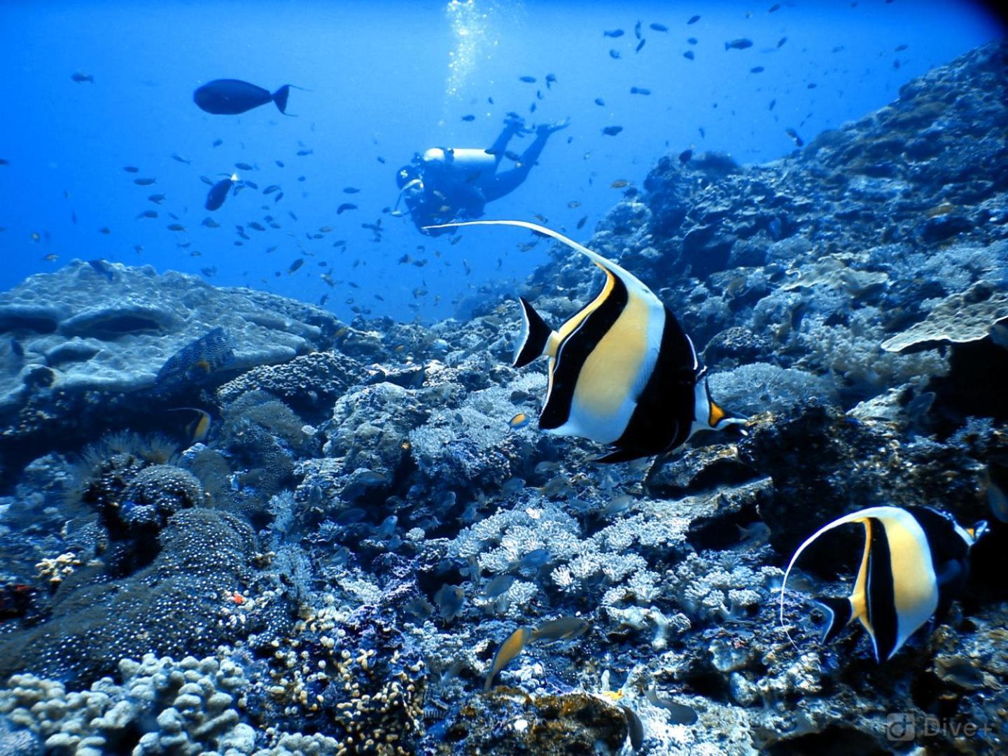 Vila Samsara Penida Nusa Penida Exteriér fotografie